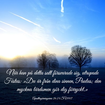 Picture 03 - Apostlagärningarna 26:24 SV1917 - När han på detta satt försvarade sig, utropade - Bible Verse Picture