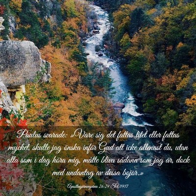Picture 03 - Apostlagärningarna 26:29 SV1917 - Paulus svarade: »Vare sig det fattas litet eller - Bible Verse Picture