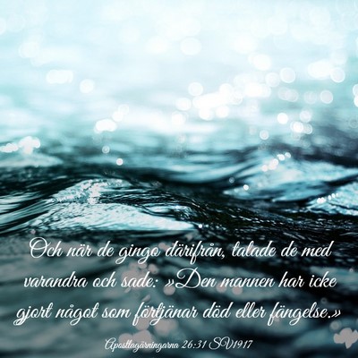 Picture 03 - Apostlagärningarna 26:31 SV1917 - Och när de gingo därifrån, talade de med - Bible Verse Picture