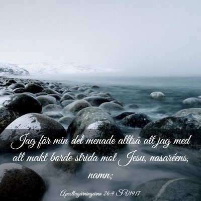 Picture 03 - Apostlagärningarna 26:9 SV1917 - Jag för min del menade alltså att jag med all - Bible Verse Picture