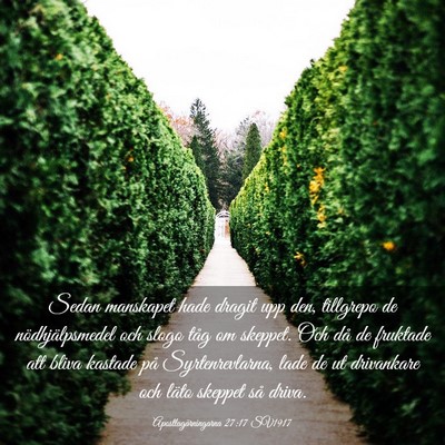 Picture 03 - Apostlagärningarna 27:17 SV1917 - Sedan manskapet hade dragit upp den, tillgrepo de - Bible Verse Picture