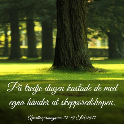 Picture 03 - Apostlagärningarna 27:19 SV1917 - På tredje dagen kastade de med egna händer ut - Bible Verse Picture