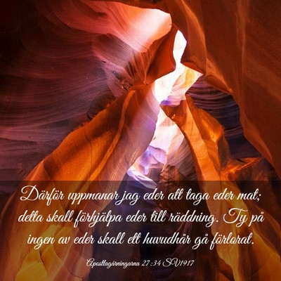 Picture 03 - Apostlagärningarna 27:34 SV1917 - Därför uppmanar jag eder att taga eder mat; - Bible Verse Picture