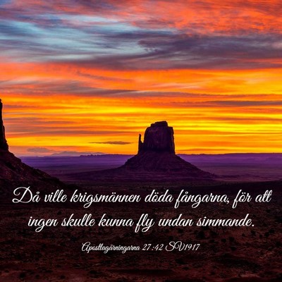 Picture 03 - Apostlagärningarna 27:42 SV1917 - Då ville krigsmännen döda fångarna, för att - Bible Verse Picture