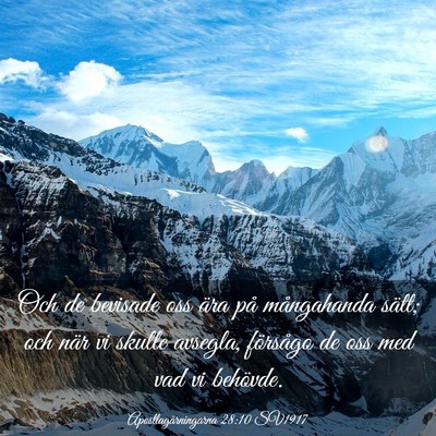Picture 03 - Apostlagärningarna 28:10 SV1917 - Och de bevisade oss ära på mångahanda sätt; - Bible Verse Picture