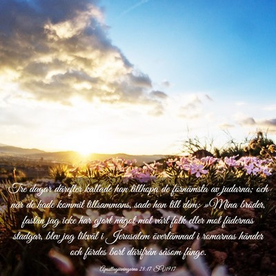 Picture 03 - Apostlagärningarna 28:17 SV1917 - Tre dagar därefter kallade han tillhopa de - Bible Verse Picture