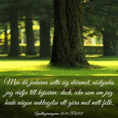 Picture 03 - Apostlagärningarna 28:19 SV1917 - Men då judarna satte sig däremot, nödgades jag - Bible Verse Picture