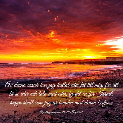 Picture 03 - Apostlagärningarna 28:20 SV1917 - Av denna orsak har jag kallat eder hit till mig, - Bible Verse Picture