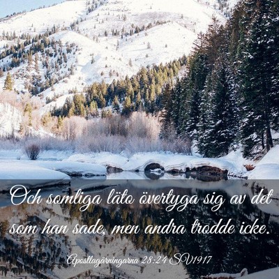 Picture 03 - Apostlagärningarna 28:24 SV1917 - Och somliga läto övertyga sig av det som han - Bible Verse Picture
