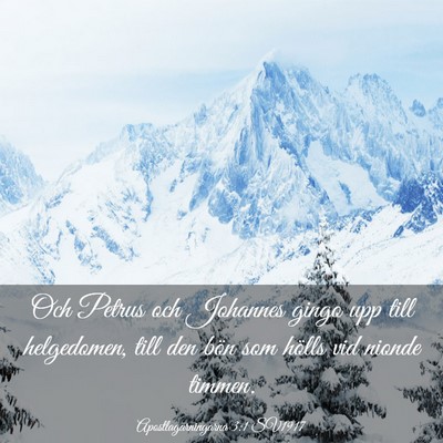 Picture 03 - Apostlagärningarna 3:1 SV1917 - Och Petrus och Johannes gingo upp till - Bible Verse Picture