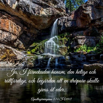 Picture 03 - Apostlagärningarna 3:14 SV1917 - Ja, I förnekaden honom, den helige och - Bible Verse Picture