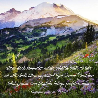 Picture 03 - Apostlagärningarna 3:21 SV1917 - vilken dock himmelen måste behålla intill de - Bible Verse Picture