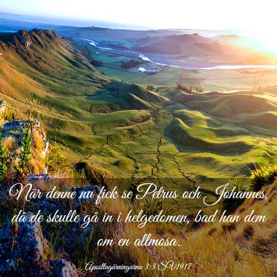 Picture 03 - Apostlagärningarna 3:3 SV1917 - När denne nu fick se Petrus och Johannes, då de - Bible Verse Picture