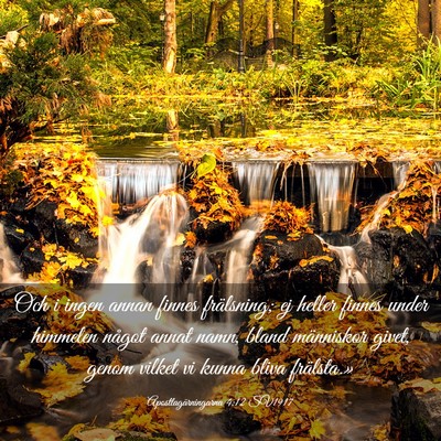 Picture 03 - Apostlagärningarna 4:12 SV1917 - Och i ingen annan finnes frälsning; ej heller - Bible Verse Picture