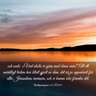 Picture 03 - Apostlagärningarna 4:16 SV1917 - och sade: »Vad skola vi göra med dessa män? - Bible Verse Picture