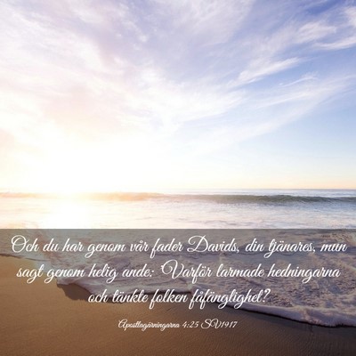 Picture 03 - Apostlagärningarna 4:25 SV1917 - Och du har genom vår fader Davids, din - Bible Verse Picture