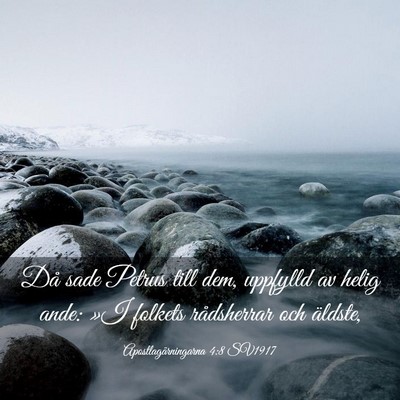 Picture 03 - Apostlagärningarna 4:8 SV1917 - Då sade Petrus till dem, uppfylld av helig ande: - Bible Verse Picture