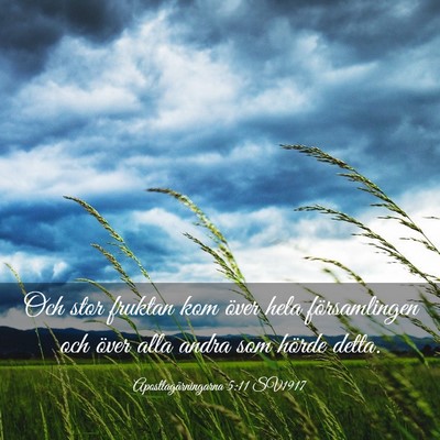 Picture 03 - Apostlagärningarna 5:11 SV1917 - Och stor fruktan kom över hela församlingen och - Bible Verse Picture