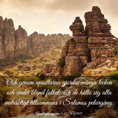 Picture 03 - Apostlagärningarna 5:12 SV1917 - Och genom apostlarna gjordes många tecken och - Bible Verse Picture