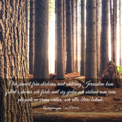 Picture 03 - Apostlagärningarna 5:16 SV1917 - Och jämväl från städerna runt omkring - Bible Verse Picture