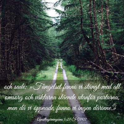 Picture 03 - Apostlagärningarna 5:23 SV1917 - och sade: »Fängelset funno vi stängt med all - Bible Verse Picture