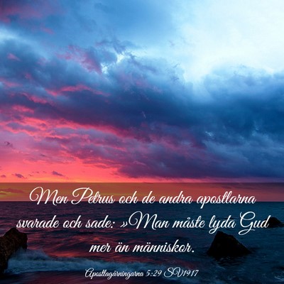 Picture 03 - Apostlagärningarna 5:29 SV1917 - Men Petrus och de andra apostlarna svarade och - Bible Verse Picture