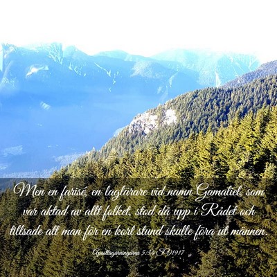 Picture 03 - Apostlagärningarna 5:34 SV1917 - Men en farisé, en laglärare vid namn Gamaliel, - Bible Verse Picture