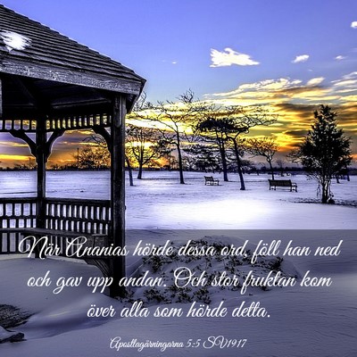 Picture 03 - Apostlagärningarna 5:5 SV1917 - När Ananias hörde dessa ord, föll han ned och - Bible Verse Picture