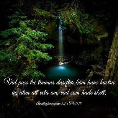 Picture 03 - Apostlagärningarna 5:7 SV1917 - Vid pass tre timmar därefter kom hans hustru in, - Bible Verse Picture