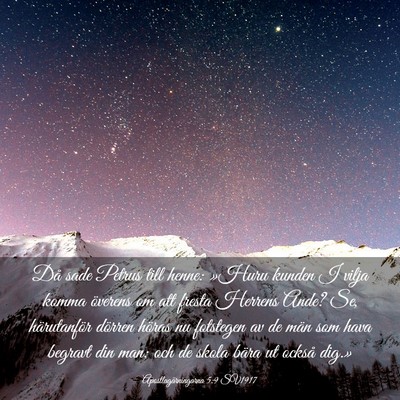 Picture 03 - Apostlagärningarna 5:9 SV1917 - Då sade Petrus till henne: »Huru kunden I vilja - Bible Verse Picture