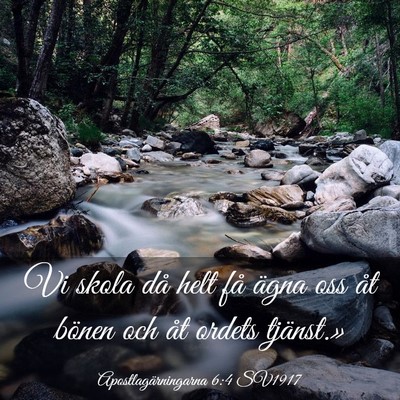 Picture 03 - Apostlagärningarna 6:4 SV1917 - Vi skola då helt få ägna oss åt bönen och - Bible Verse Picture