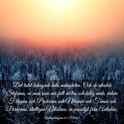 Picture 03 - Apostlagärningarna 6:5 SV1917 - Det talet behagade hela menigheten. Och de - Bible Verse Picture