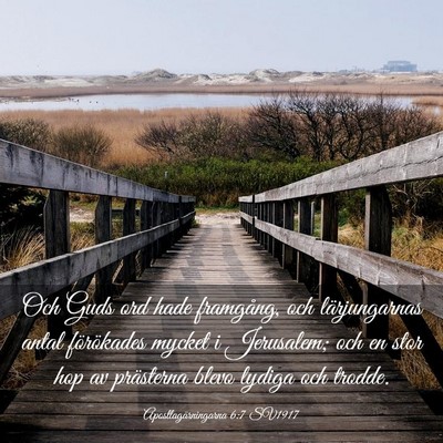 Picture 03 - Apostlagärningarna 6:7 SV1917 - Och Guds ord hade framgång, och lärjungarnas - Bible Verse Picture