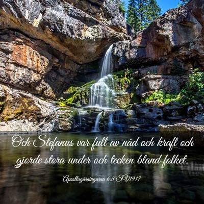Picture 03 - Apostlagärningarna 6:8 SV1917 - Och Stefanus var full av nåd och kraft och - Bible Verse Picture