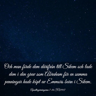 Picture 03 - Apostlagärningarna 7:16 SV1917 - Och man förde dem därifrån till Sikem och lade - Bible Verse Picture