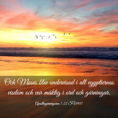 Picture 03 - Apostlagärningarna 7:22 SV1917 - Och Moses blev undervisad i all egyptiernas - Bible Verse Picture