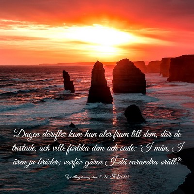 Picture 03 - Apostlagärningarna 7:26 SV1917 - Dagen därefter kom han åter fram till dem, där - Bible Verse Picture