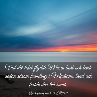 Picture 03 - Apostlagärningarna 7:29 SV1917 - Vid det talet flydde Moses bort och levde sedan - Bible Verse Picture