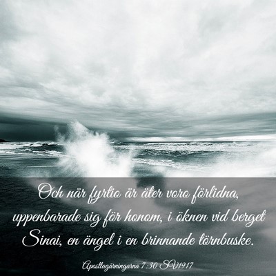 Picture 03 - Apostlagärningarna 7:30 SV1917 - Och när fyrtio är äter voro förlidna, - Bible Verse Picture