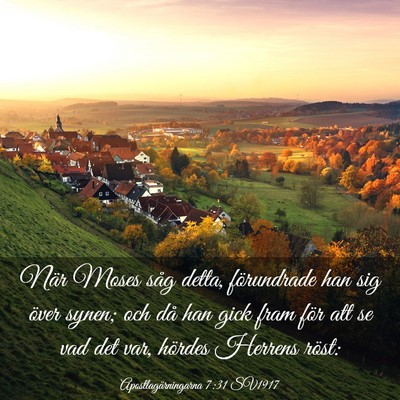 Picture 03 - Apostlagärningarna 7:31 SV1917 - När Moses såg detta, förundrade han sig över - Bible Verse Picture