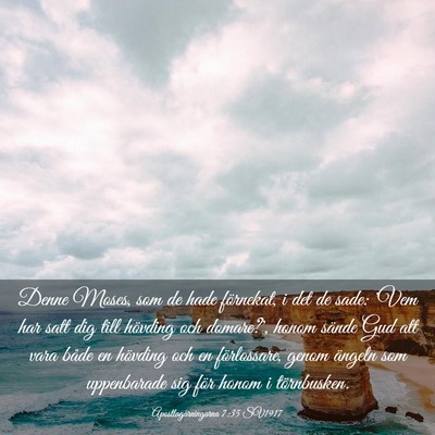 Picture 03 - Apostlagärningarna 7:35 SV1917 - Denne Moses, som de hade förnekat, i det de - Bible Verse Picture