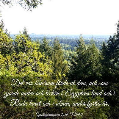 Picture 03 - Apostlagärningarna 7:36 SV1917 - Det var han som förde ut dem, och som gjorde - Bible Verse Picture