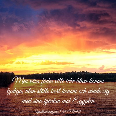 Picture 03 - Apostlagärningarna 7:39 SV1917 - Men våra fäder ville icke bliva honom lydiga, - Bible Verse Picture