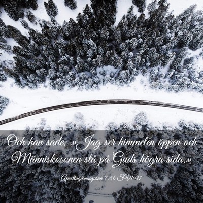Picture 03 - Apostlagärningarna 7:56 SV1917 - Och han sade: »Jag ser himmelen öppen och - Bible Verse Picture