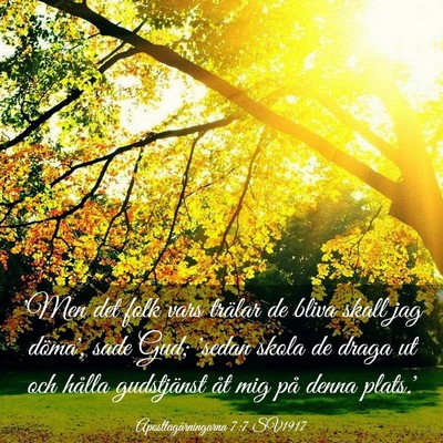 Picture 03 - Apostlagärningarna 7:7 SV1917 - 'Men det folk vars trälar de bliva skall jag - Bible Verse Picture