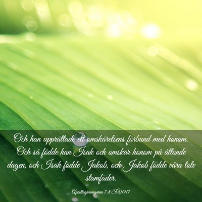 Picture 03 - Apostlagärningarna 7:8 SV1917 - Och han upprättade ett omskärelsens förbund - Bible Verse Picture