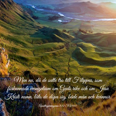 Picture 03 - Apostlagärningarna 8:12 SV1917 - Men nu, då de satte tro till Filippus, som - Bible Verse Picture