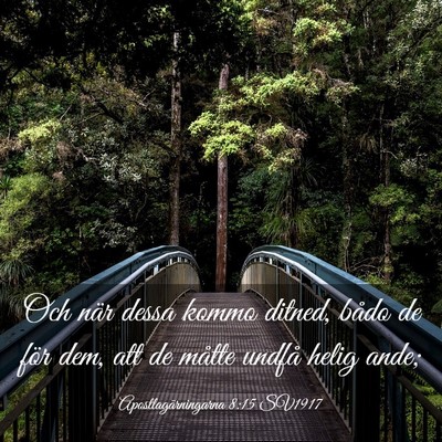 Picture 03 - Apostlagärningarna 8:15 SV1917 - Och när dessa kommo ditned, bådo de för dem, - Bible Verse Picture