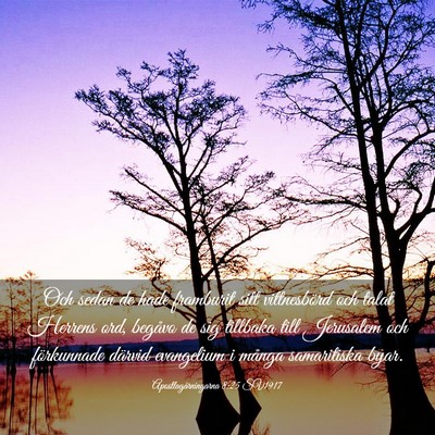 Picture 03 - Apostlagärningarna 8:25 SV1917 - Och sedan de hade framburit sitt vittnesbörd och - Bible Verse Picture