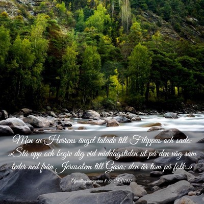 Picture 03 - Apostlagärningarna 8:26 SV1917 - Men en Herrens ängel talade till Filippus och - Bible Verse Picture